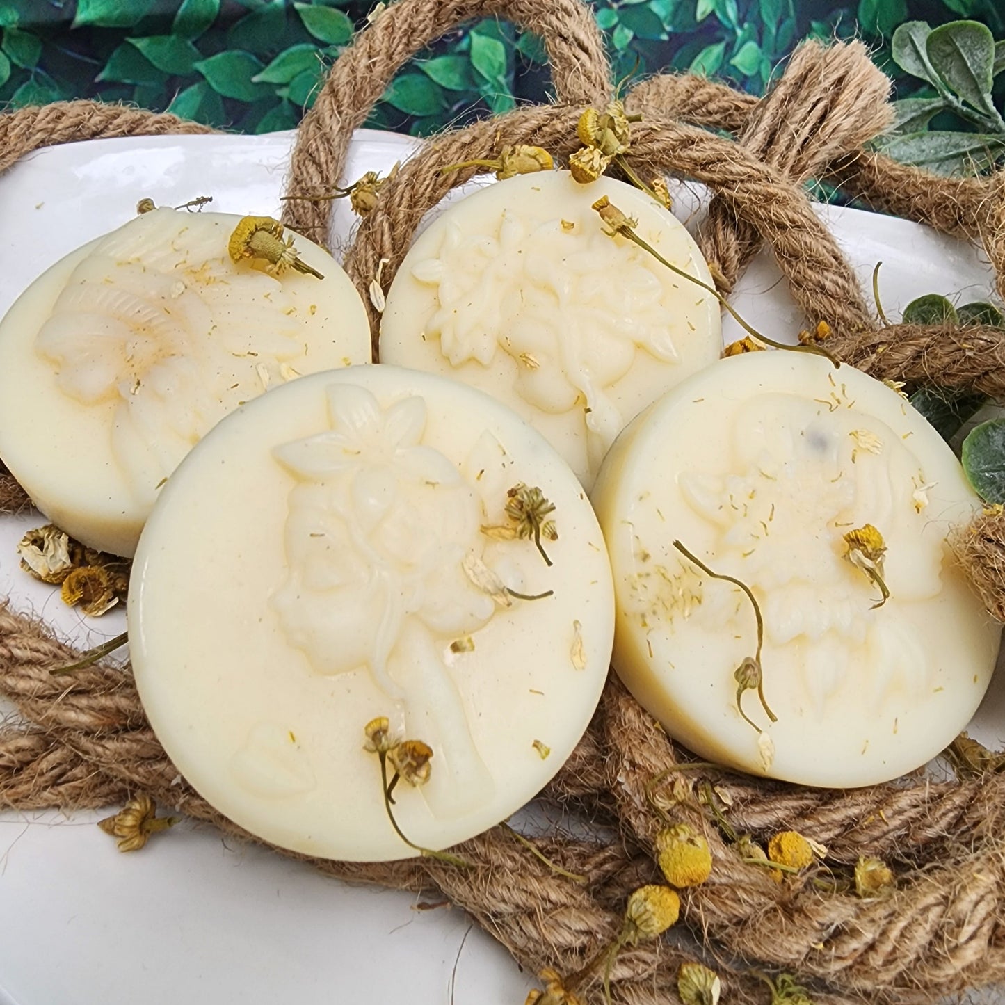 Calendula Lotion Bars