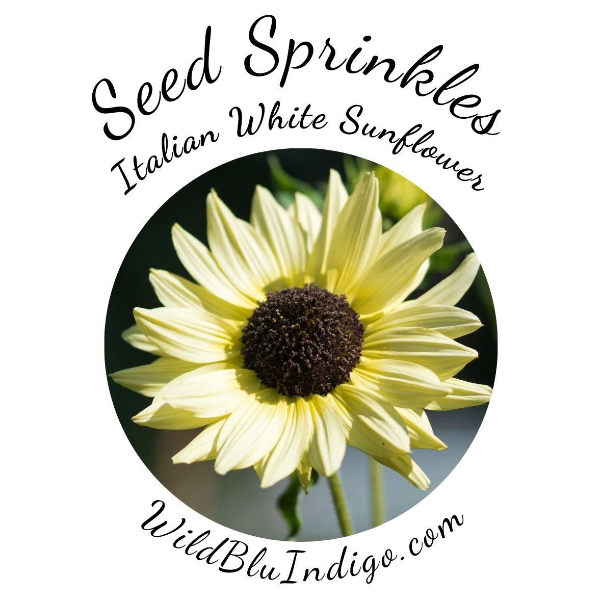 Seed Sprinkles