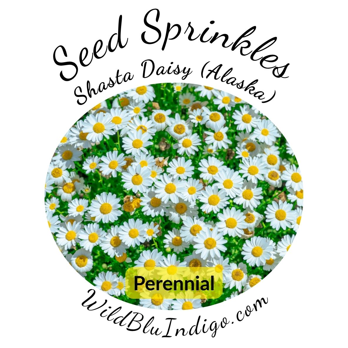 Seed Sprinkles