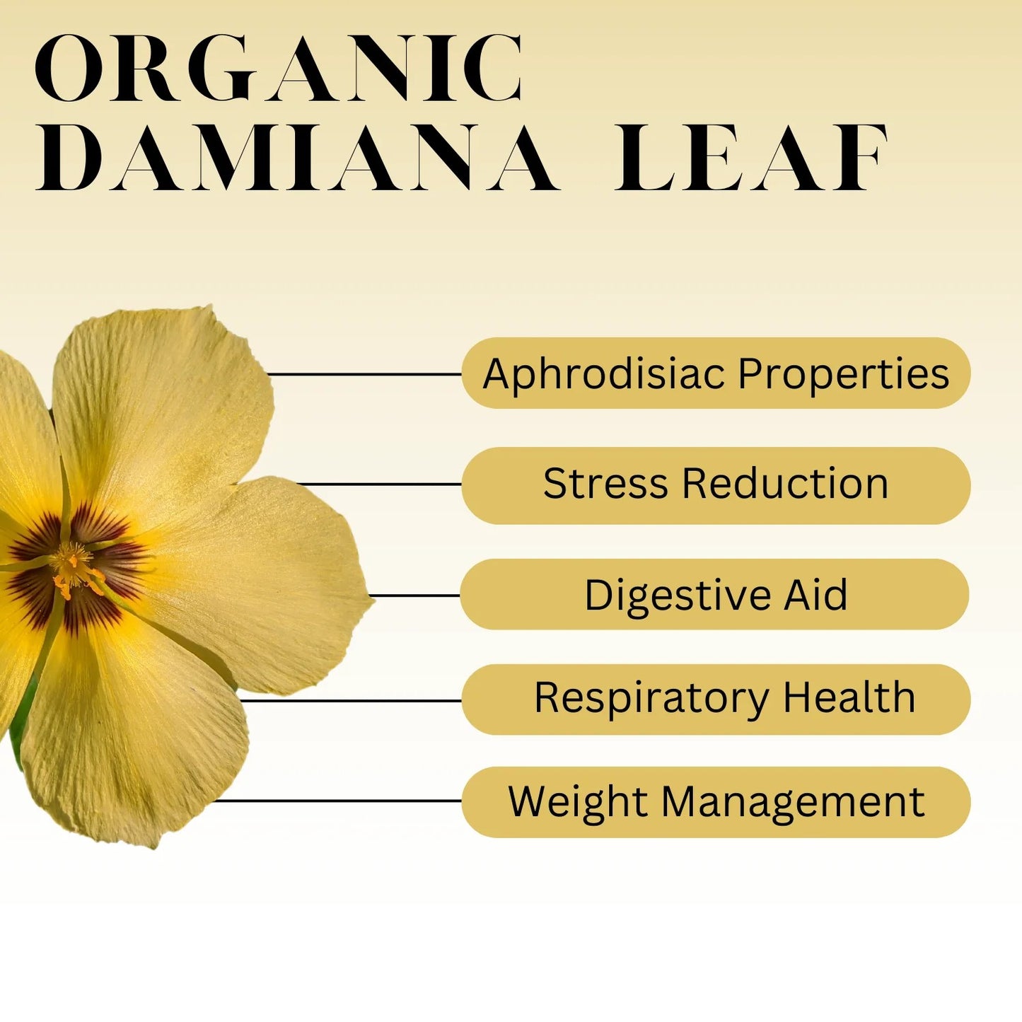 Divine Spark Damiana Glycerite (libido support)